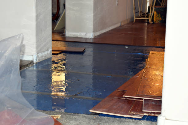 Professional Burst Pipe Cleanup technician working in Park Ridge, NJ
